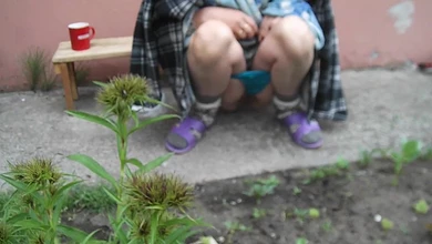 Света писает